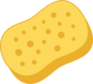 Sponge Icon